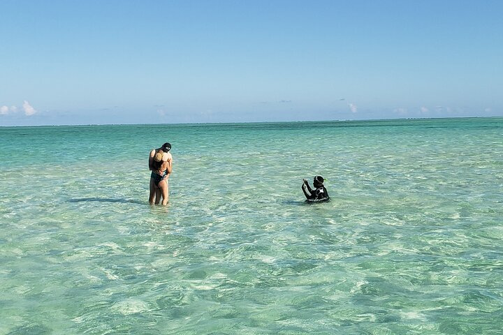 Excursión de snorkel y avistamiento de delfines alrededor de la isla Mnemba, Tanzania, con vibrante vida marina y aguas turquesas, foto 10 | wizardtrip