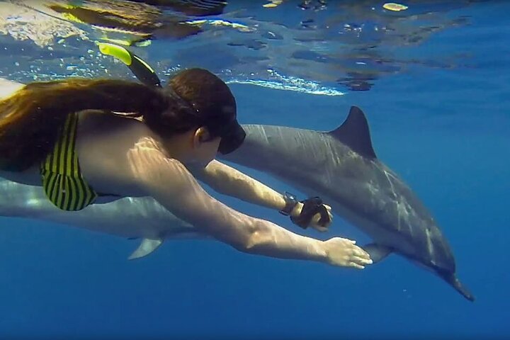Excursión de snorkel y avistamiento de delfines alrededor de la isla Mnemba, Tanzania, con vibrante vida marina y aguas turquesas, foto 14 | wizardtrip