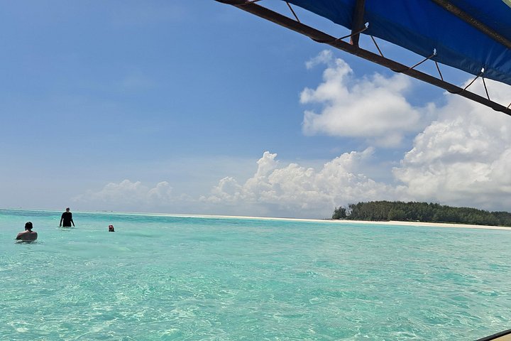 Excursión de snorkel y avistamiento de delfines alrededor de la isla Mnemba, Tanzania, con vibrante vida marina y aguas turquesas, foto 18 | wizardtrip