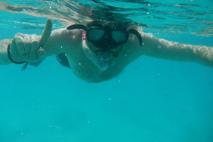Excursión de snorkel y avistamiento de delfines alrededor de la isla Mnemba, Tanzania, con vibrante vida marina y aguas turquesas, foto 21 | wizardtrip