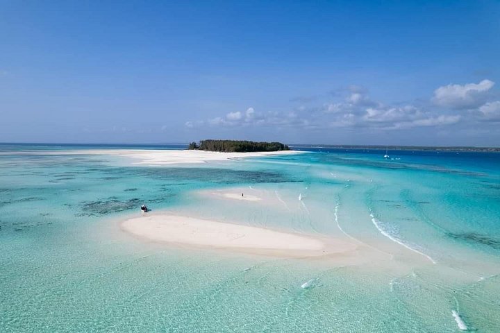Excursión de snorkel y avistamiento de delfines alrededor de la isla Mnemba, Tanzania, con vibrante vida marina y aguas turquesas, foto 30 | wizardtrip
