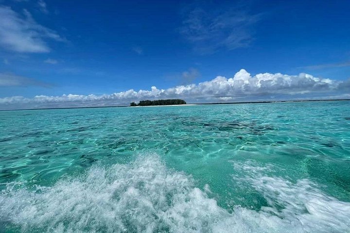 Excursión de snorkel y avistamiento de delfines alrededor de la isla Mnemba, Tanzania, con vibrante vida marina y aguas turquesas, foto 31 | wizardtrip