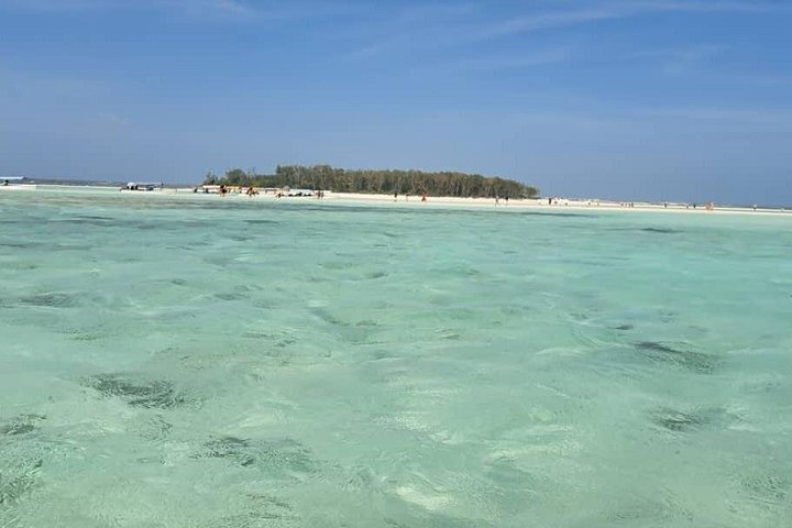 Excursión de snorkel y avistamiento de delfines alrededor de la isla Mnemba, Tanzania, con vibrante vida marina y aguas turquesas, foto 33 | wizardtrip