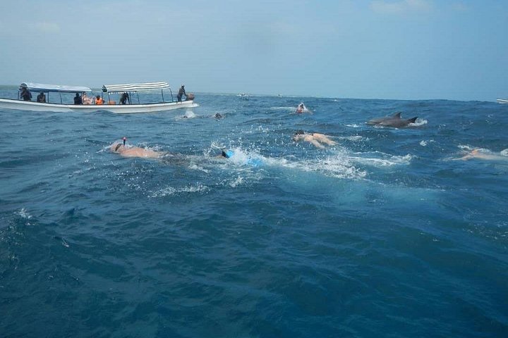 Excursión de snorkel y avistamiento de delfines alrededor de la isla Mnemba, Tanzania, con vibrante vida marina y aguas turquesas, foto 39 | wizardtrip