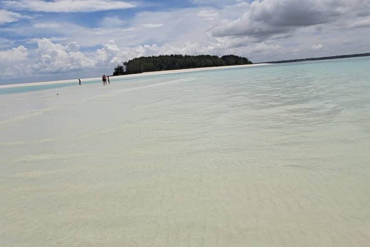 Excursión de snorkel y avistamiento de delfines alrededor de la isla Mnemba, Tanzania, con vibrante vida marina y aguas turquesas, foto 41 | wizardtrip