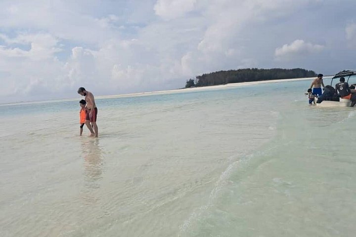 Excursión de snorkel y avistamiento de delfines alrededor de la isla Mnemba, Tanzania, con vibrante vida marina y aguas turquesas, foto 42 | wizardtrip
