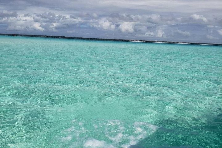 Excursión de snorkel y avistamiento de delfines alrededor de la isla Mnemba, Tanzania, con vibrante vida marina y aguas turquesas, foto 45 | wizardtrip