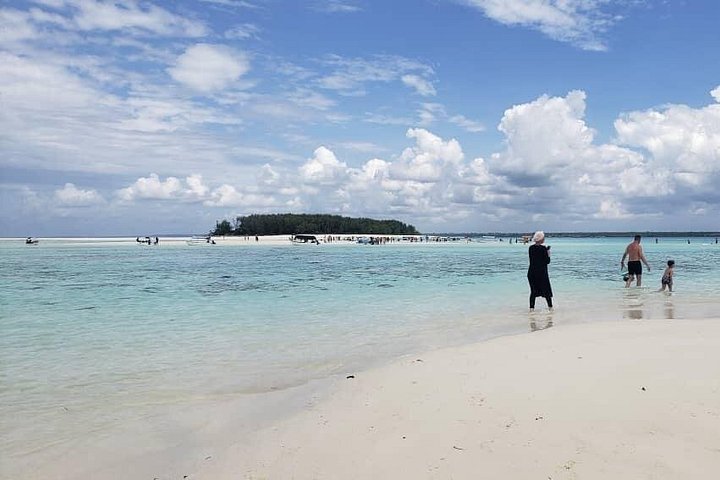 Excursión de snorkel y avistamiento de delfines alrededor de la isla Mnemba, Tanzania, con vibrante vida marina y aguas turquesas, foto 46 | wizardtrip