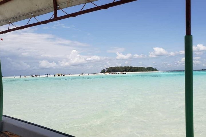 Excursión de snorkel y avistamiento de delfines alrededor de la isla Mnemba, Tanzania, con vibrante vida marina y aguas turquesas, foto 47 | wizardtrip