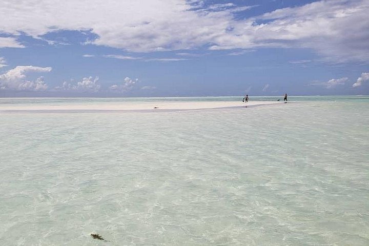 Excursión de snorkel y avistamiento de delfines alrededor de la isla Mnemba, Tanzania, con vibrante vida marina y aguas turquesas, foto 48 | wizardtrip