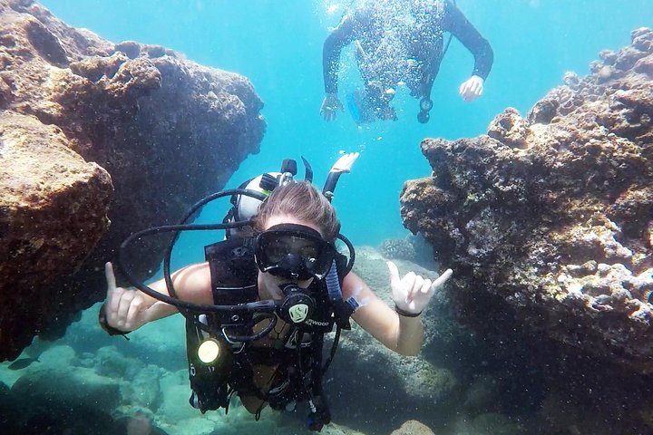 Voted Honolulu's #1 Beginner Scuba Diving + Free Videos Tour | wizardtrip