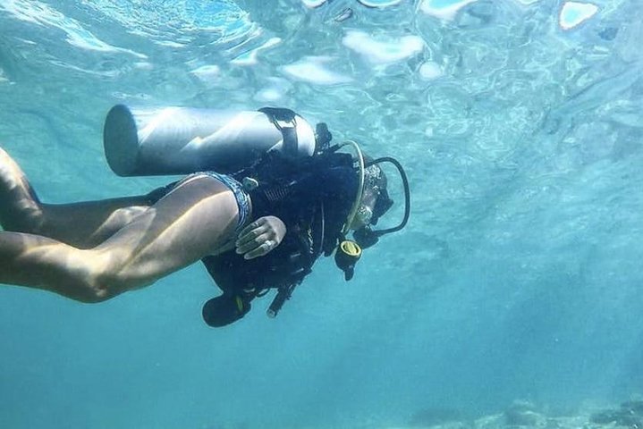 ホノルル、ハワイでの初心者向けスキューバダイビングツアー、サンゴ礁と海洋生物を探検、写真6 | wizardtrip
