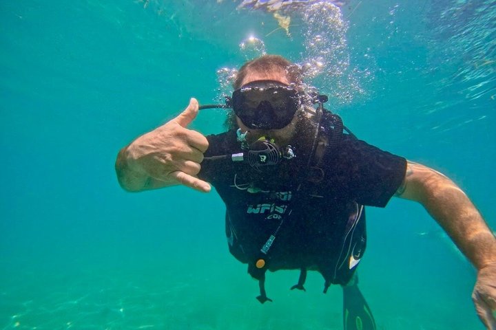 ホノルル、ハワイでの初心者向けスキューバダイビングツアー、サンゴ礁と海洋生物を探検、写真8 | wizardtrip