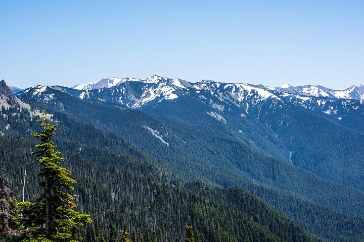 Dagstur som utforsker mangfoldige økosystemer i Olympic National Park fra Seattle, foto 10 | wizardtrip