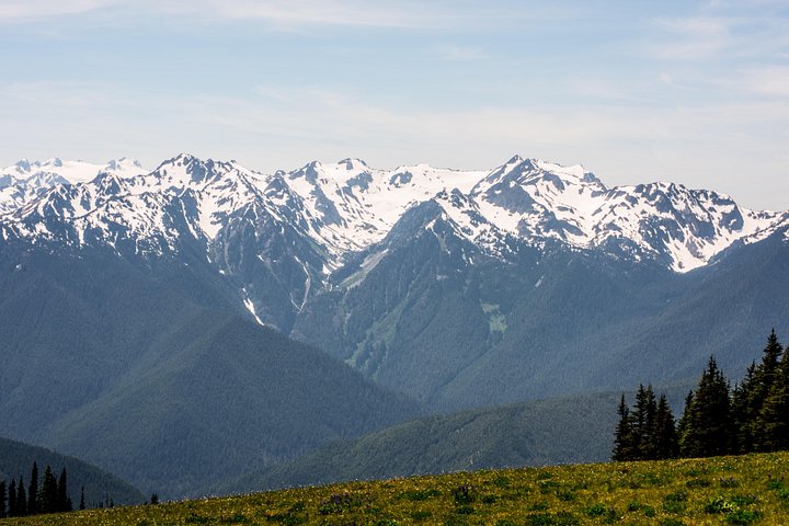 Dagstur som utforsker mangfoldige økosystemer i Olympic National Park fra Seattle, foto 11 | wizardtrip