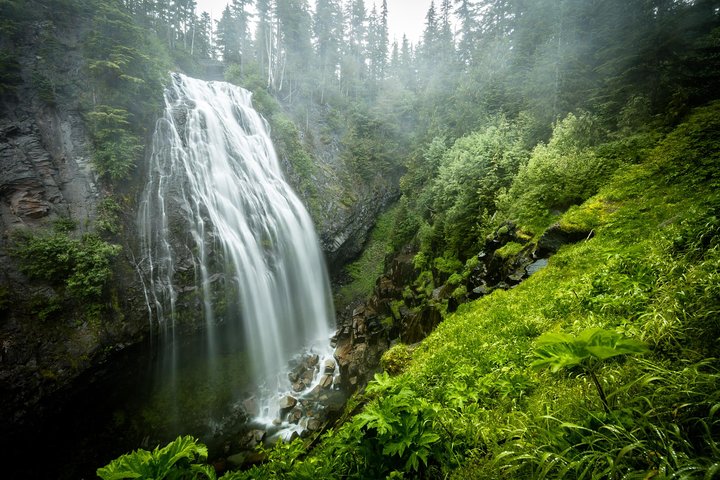 Tour des incontournables du parc national du Mont Rainier | wizardtrip