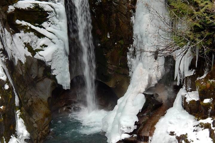Excursión de día completo explorando el Parque Nacional Mt. Rainier desde Seattle, con volcán, lagos, bosques y cascadas, foto 7 | wizardtrip