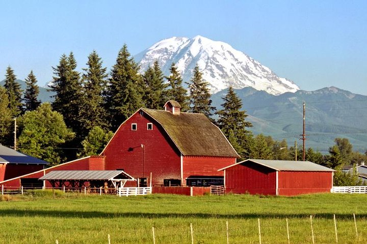 Excursión de día completo explorando el Parque Nacional Mt. Rainier desde Seattle, con volcán, lagos, bosques y cascadas, foto 8 | wizardtrip