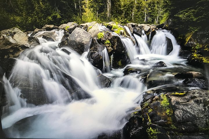 Excursión de día completo explorando el Parque Nacional Mt. Rainier desde Seattle, con volcán, lagos, bosques y cascadas, foto 10 | wizardtrip