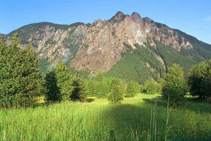 Tour panorámico por la región vinícola de Seattle y las cataratas Snoqualmie, con bodegas y paisajes naturales, foto 7 | wizardtrip