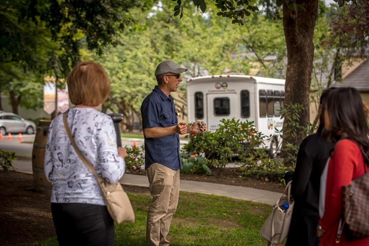 Tour panorámico por la región vinícola de Seattle y las cataratas Snoqualmie, con bodegas y paisajes naturales, foto 11 | wizardtrip