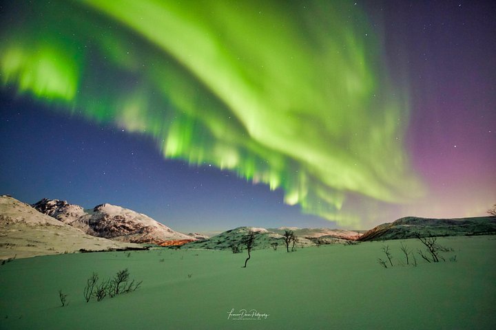Tromsø | wizardtrip