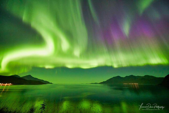 Ervaar de magie van de Northern Lights tijdens een begeleide minivan-tour vanuit Tromsø, met fotografische assistentie, foto 6 | wizardtrip