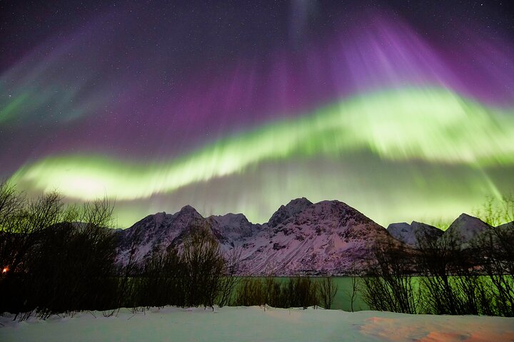 Ervaar de magie van de Northern Lights tijdens een begeleide minivan-tour vanuit Tromsø, met fotografische assistentie, foto 7 | wizardtrip