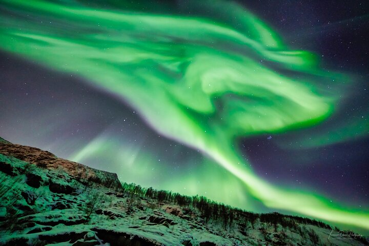 Ervaar de magie van de Northern Lights tijdens een begeleide minivan-tour vanuit Tromsø, met fotografische assistentie, foto 9 | wizardtrip