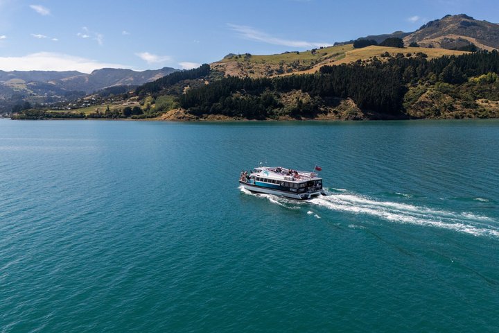 Crociera naturalistica panoramica nella Baia di Akaroa, Nuova Zelanda, avvistamento di delfini e fauna selvatica, foto 7 | wizardtrip