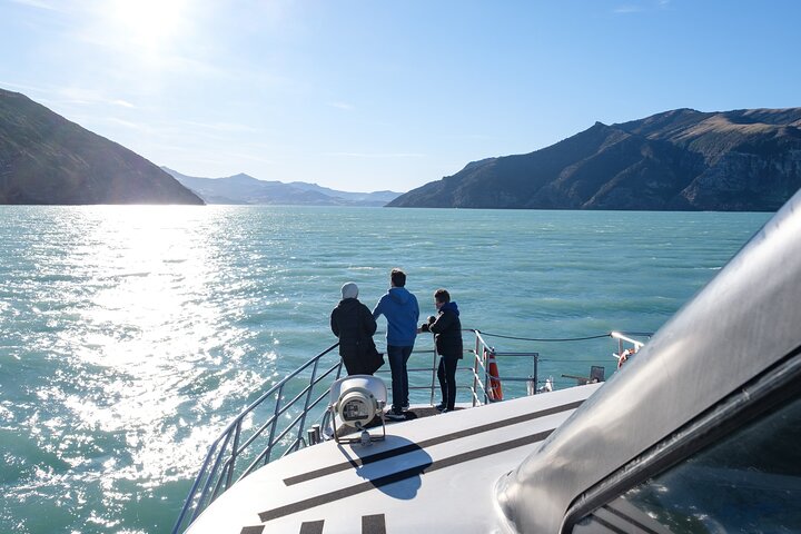 Crociera naturalistica panoramica nella Baia di Akaroa, Nuova Zelanda, avvistamento di delfini e fauna selvatica, foto 11 | wizardtrip