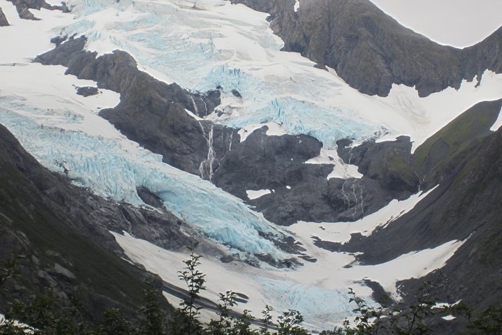 Admirez la faune diversifiée et les majestueux glaciers de l'Alaska lors d'une excursion panoramique depuis Anchorage, photo 6 | wizardtrip