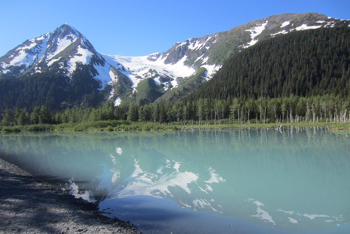Admirez la faune diversifiée et les majestueux glaciers de l'Alaska lors d'une excursion panoramique depuis Anchorage, photo 9 | wizardtrip