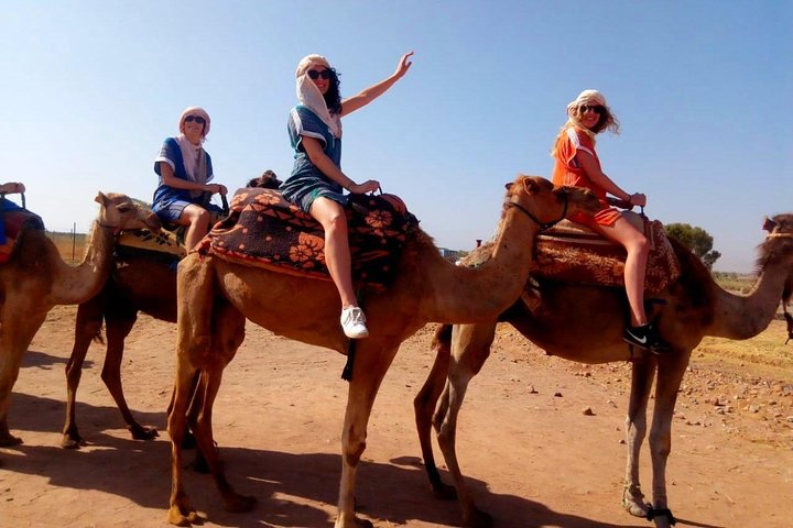 Day trip to the Atlas Mountains from Marrakech, featuring Berber villages, waterfalls, and a camel ride, photo 8 | wizardtrip