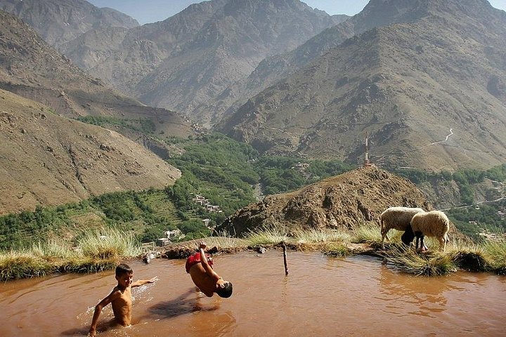 Day trip to the Atlas Mountains from Marrakech, featuring Berber villages, waterfalls, and a camel ride, photo 10 | wizardtrip
