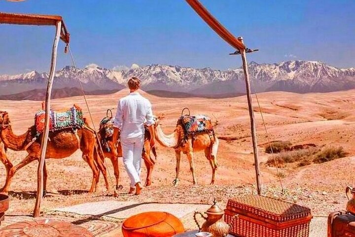 Day trip to the Atlas Mountains from Marrakech, featuring Berber villages, waterfalls, and a camel ride, photo 21 | wizardtrip