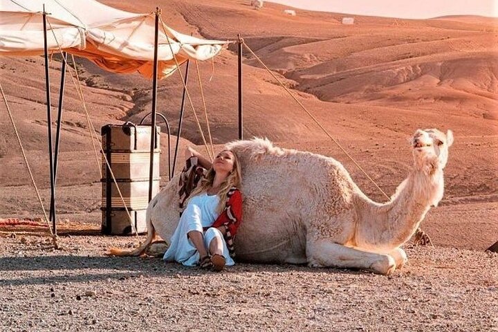 Day trip to the Atlas Mountains from Marrakech, featuring Berber villages, waterfalls, and a camel ride, photo 22 | wizardtrip