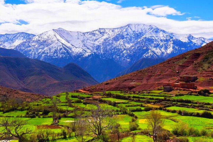 Day trip to the Atlas Mountains from Marrakech, featuring Berber villages, waterfalls, and a camel ride, photo 30 | wizardtrip