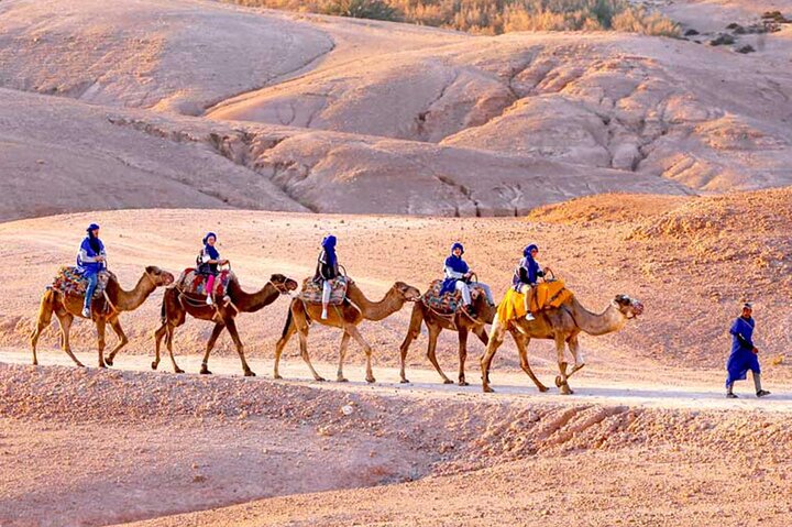 Passeio de dia inteiro saindo de Marrakech explorando as Montanhas Atlas, aldeias berberes, cachoeiras e desfrutando de um passeio de camelo, foto 8 | wizardtrip