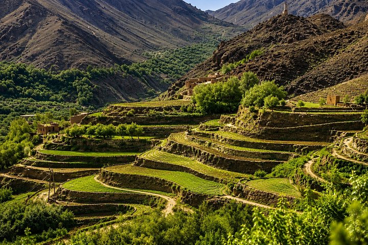 Passeio de dia inteiro saindo de Marrakech explorando as Montanhas Atlas, aldeias berberes, cachoeiras e desfrutando de um passeio de camelo, foto 16 | wizardtrip