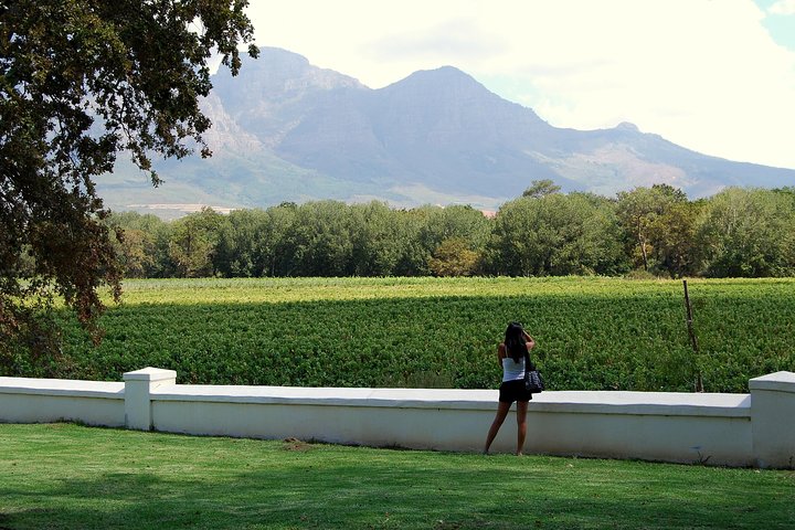 African Story Wine Tours i Cape Winelands | wizardtrip