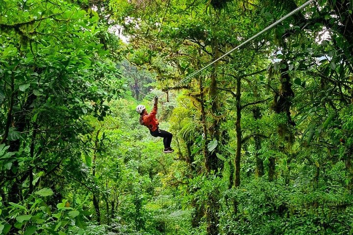 Erleben Sie den Nervenkitzel des Ziplinings durch das üppige Blätterdach des Nebelwaldes von Monteverde, Foto 6 | wizardtrip
