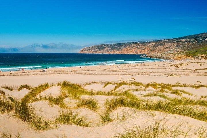 Tagesausflug von Lissabon zum Pena Palast in Sintra, zur Quinta da Regaleira und nach Cascais, Foto 18 | wizardtrip