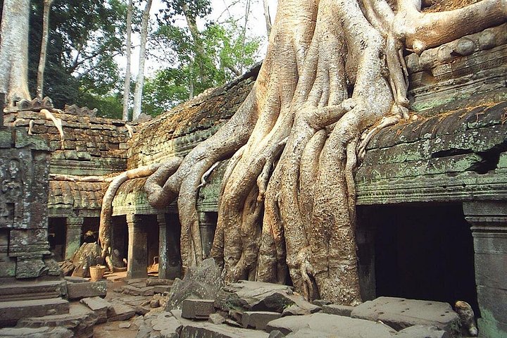 Privater Taxitransfer vom Flughafen Siem Reap zum Hotel mit Willkommensschild, Foto 17 | wizardtrip