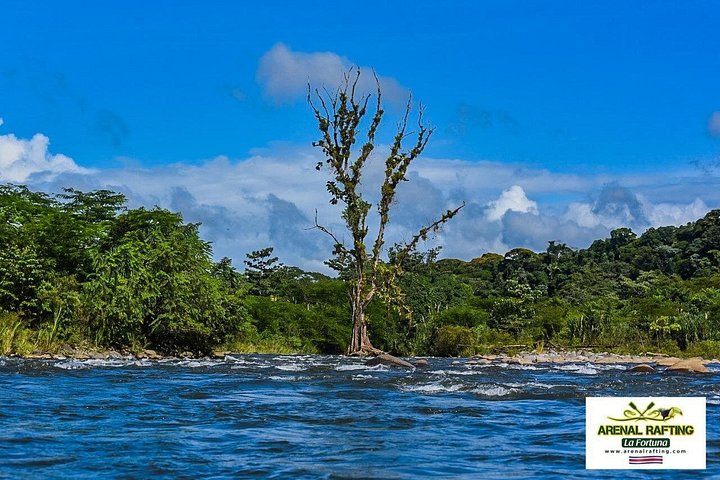 Spennende raftingeventyr på elven Balsa, Costa Rica, med stryk og frodig regnskog, foto 30 | wizardtrip