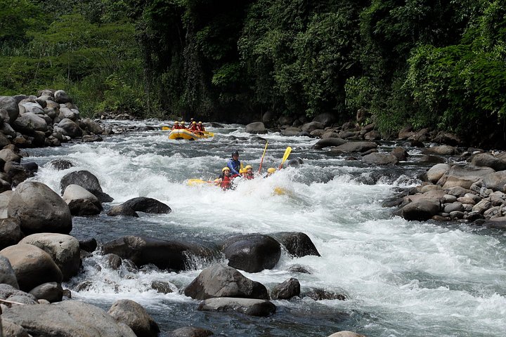 Upplev spännande forsränning på Sarapiquífloden i Costa Rica, möt djurliv och forsar, foto 12 | wizardtrip
