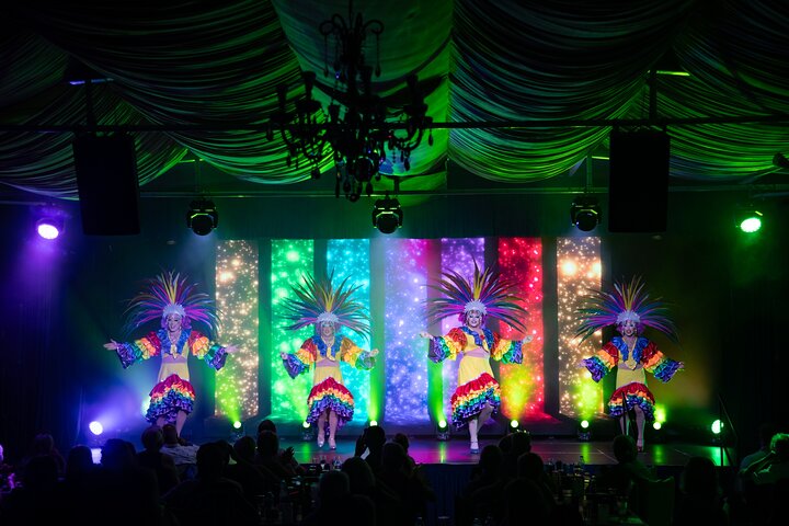 Stardust Variety Dinner Show | wizardtrip