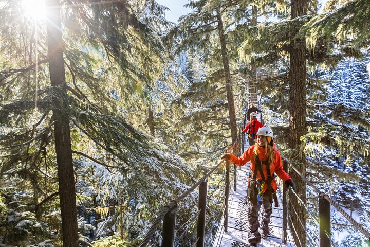 Oplev spændende zipline-eventyr højt over Whistlers fantastiske bjerglandskaber, foto 11 | wizardtrip
