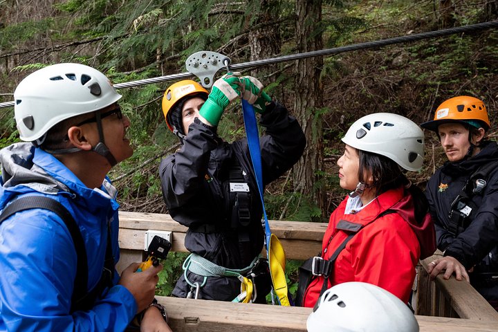 Oplev spændende zipline-eventyr højt over Whistlers fantastiske bjerglandskaber, foto 12 | wizardtrip