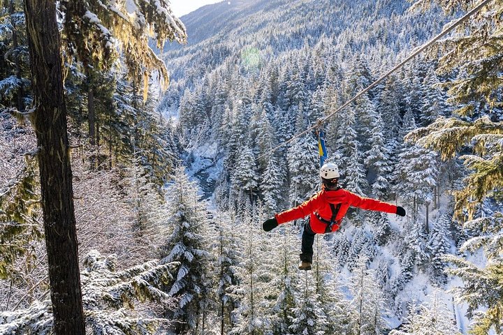 Oplev spændende zipline-eventyr højt over Whistlers fantastiske bjerglandskaber, foto 13 | wizardtrip